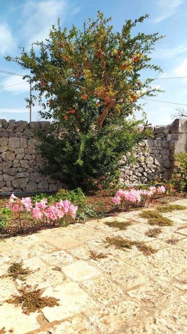 فيلا Trullo Mami بوتينيانو المظهر الخارجي الصورة