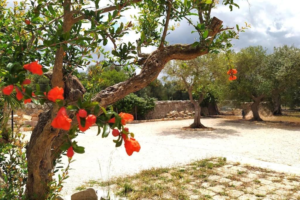 فيلا Trullo Mami بوتينيانو المظهر الخارجي الصورة