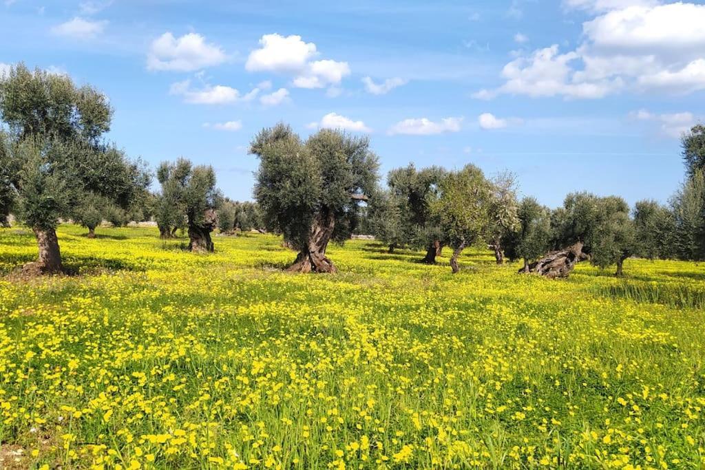 فيلا Trullo Mami بوتينيانو المظهر الخارجي الصورة